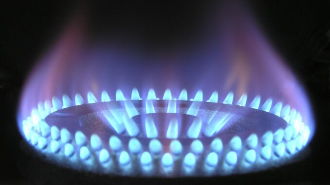 Gaspreise 2025 Vergleich